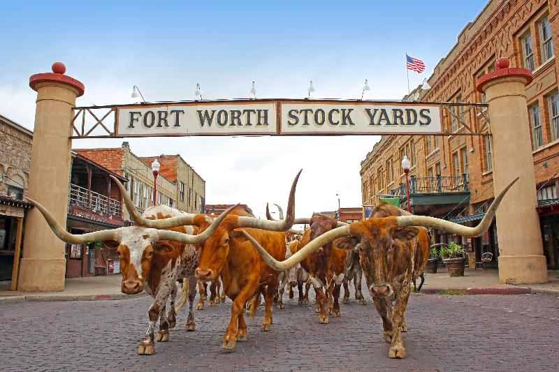 Holiday Inn Express Hotel & Suites Fort Worth Sout image