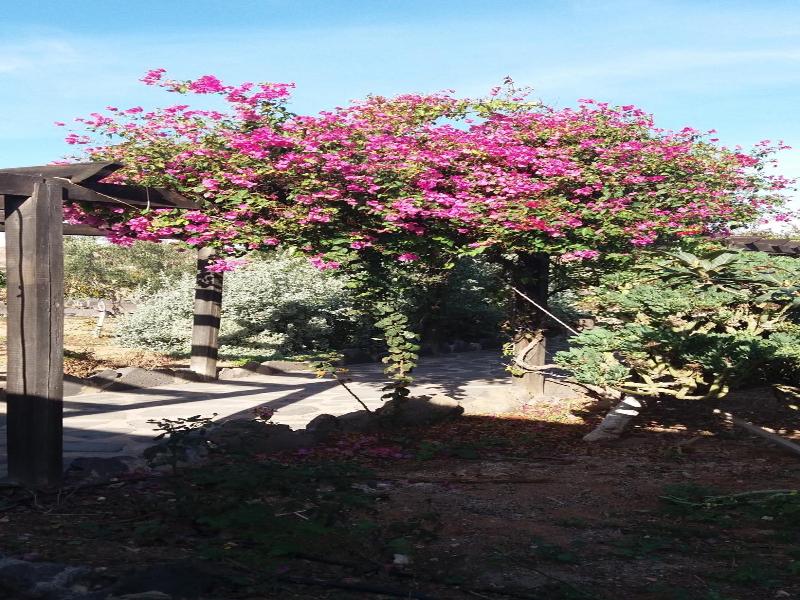 Agroturismo La Gayria image