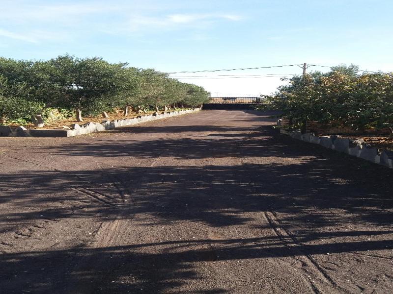 Agroturismo La Gayria image