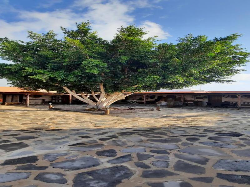 Agroturismo La Gayria image