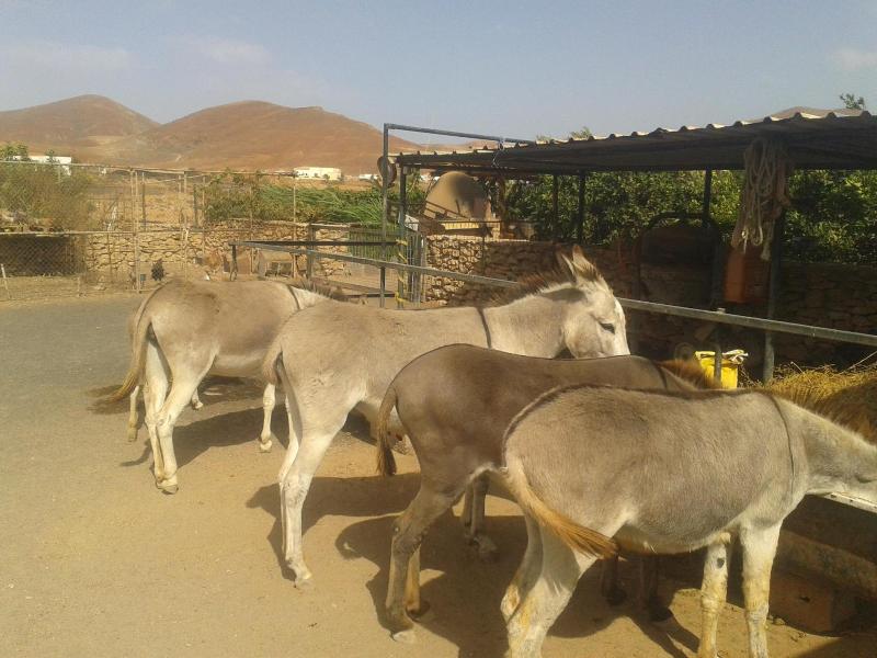 Agroturismo La Gayria image