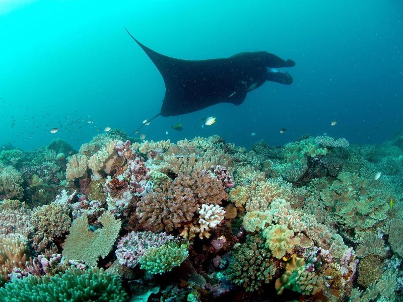 Matava - Fiji's Premier Eco-Adventure Resort