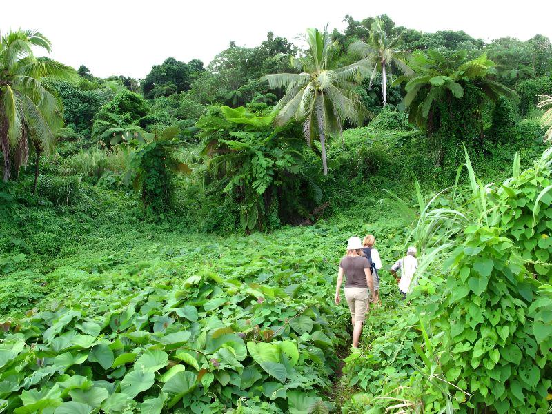 Matava - Fiji's Premier Eco-Adventure Resort