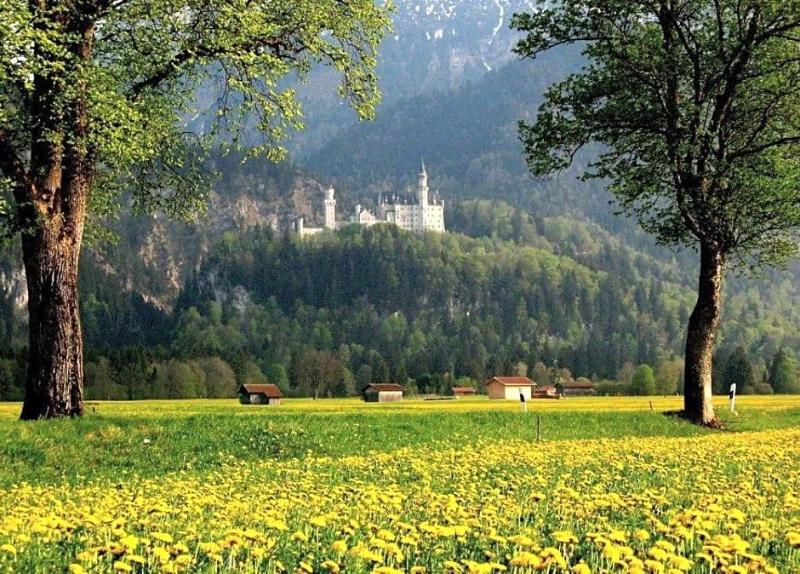 Schwarzenbach's Landhotel image