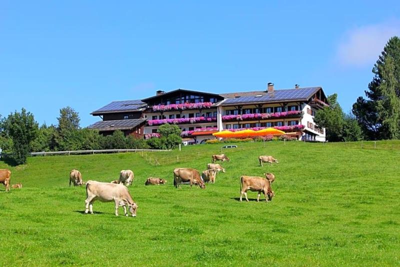 Schwarzenbach's Landhotel image