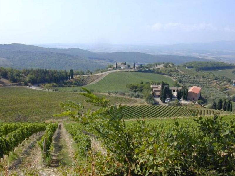 Locanda Il Gallo image