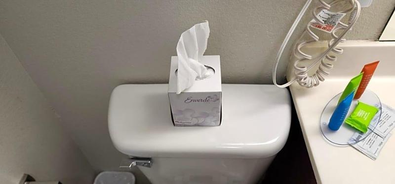Home Towne Suites image
