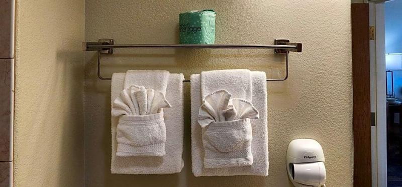 Home Towne Suites image