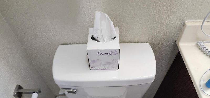 Home Towne Suites image