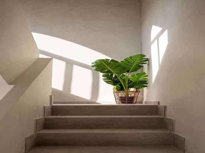 Boho Suites Formentera image