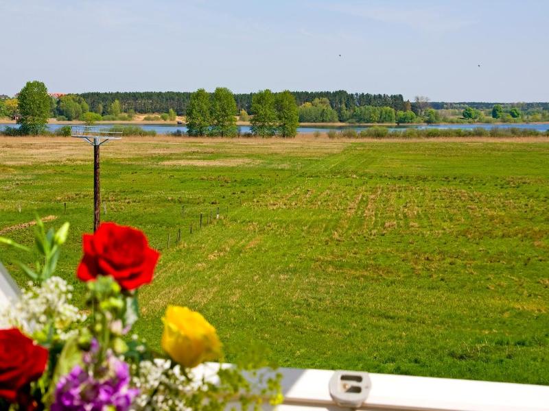 Am Müritz-Nationalpark image