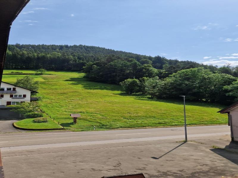 Hotel Schwanen image