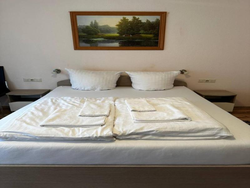 Hotel Schwanen image