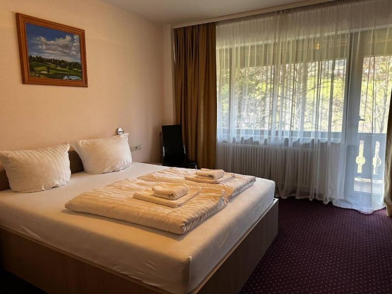 Hotel Schwanen image