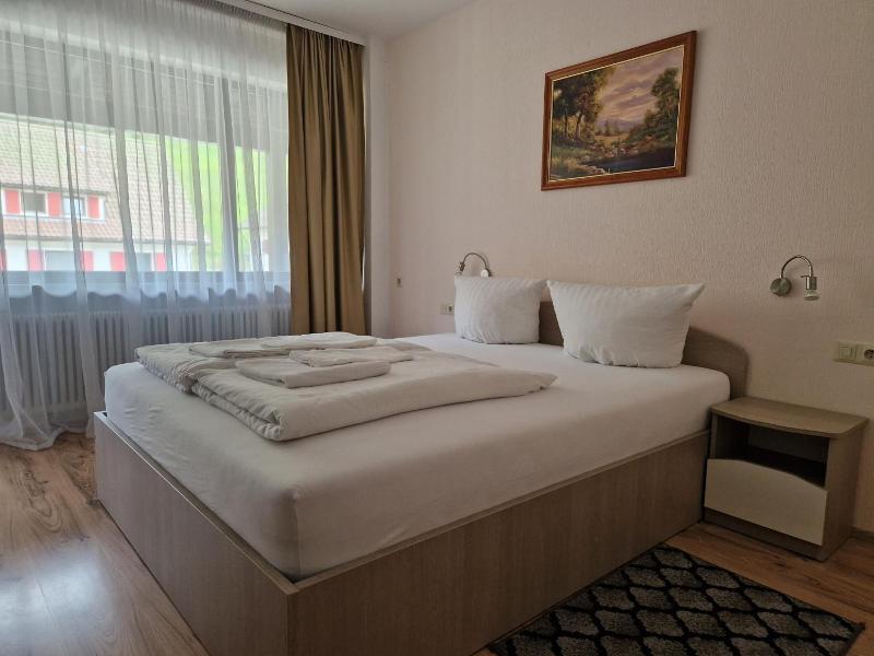 Hotel Schwanen image