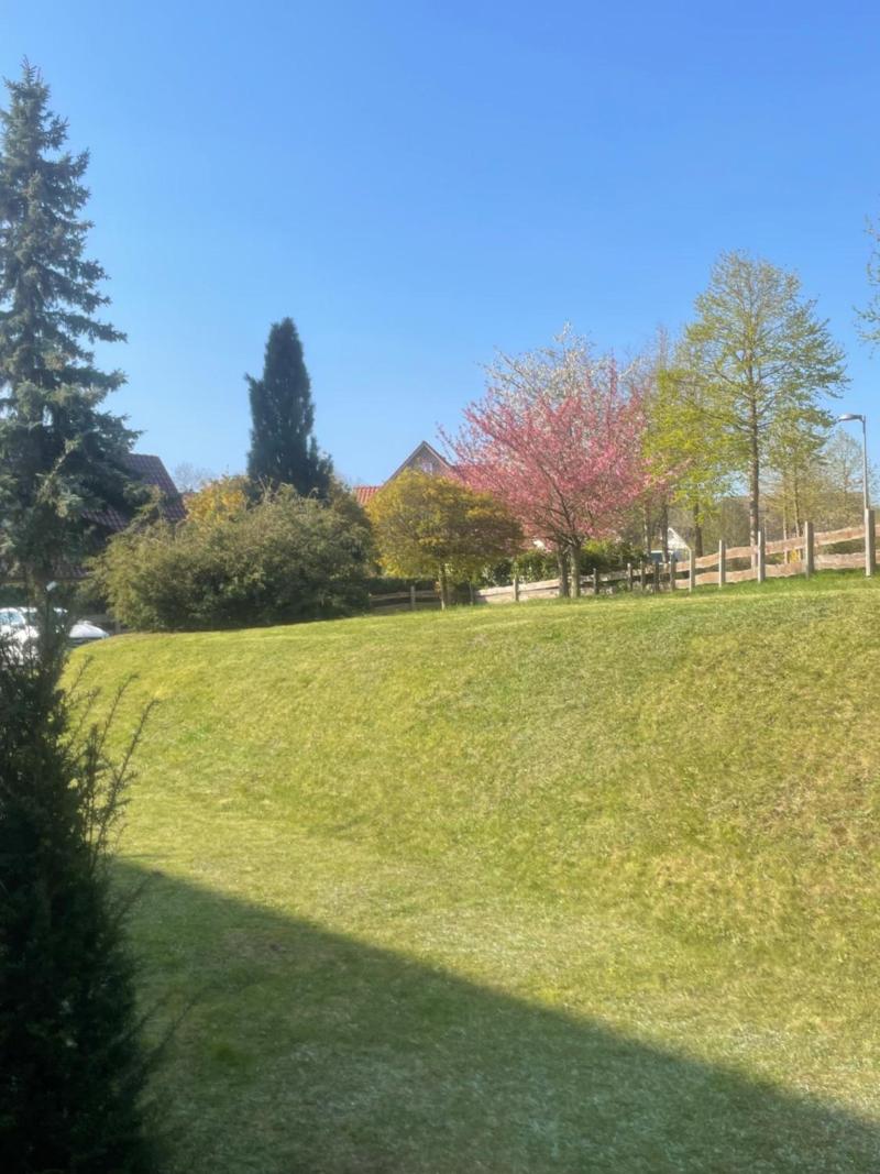 Broda Am Tollensee image