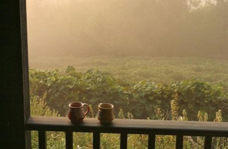 Hermann Hill Vineyard & Inn image