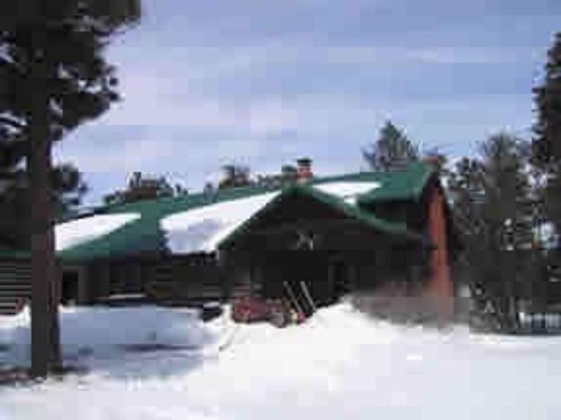 Black Forest B&B Lodge & Cabins image