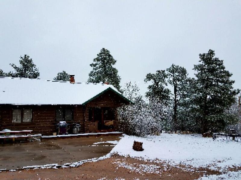 Black Forest B&B Lodge & Cabins image