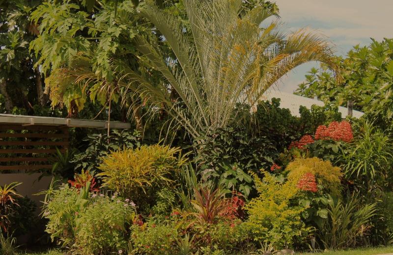 Savaii Lagoon Resort image