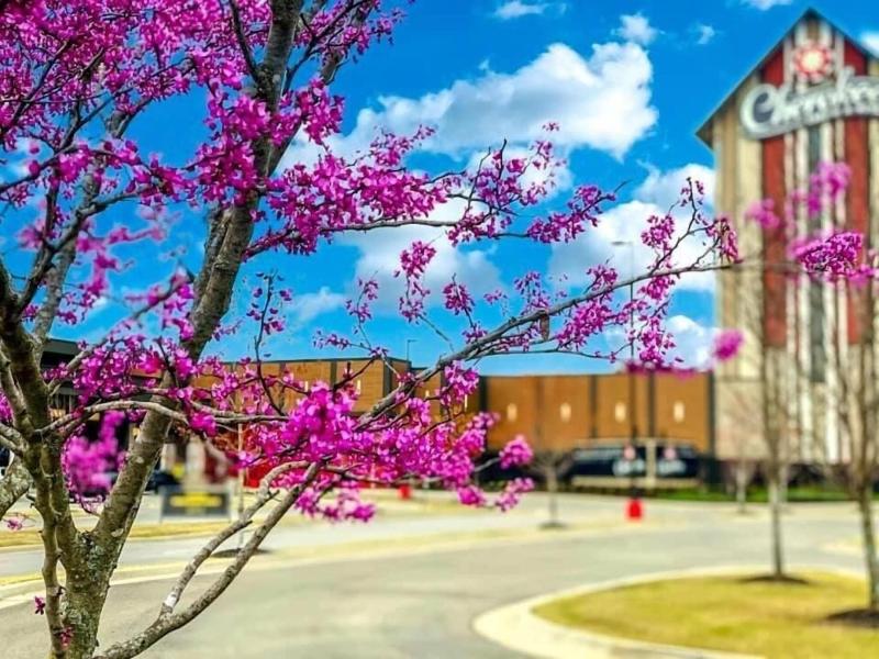 Cherokee Casino Inn - Roland