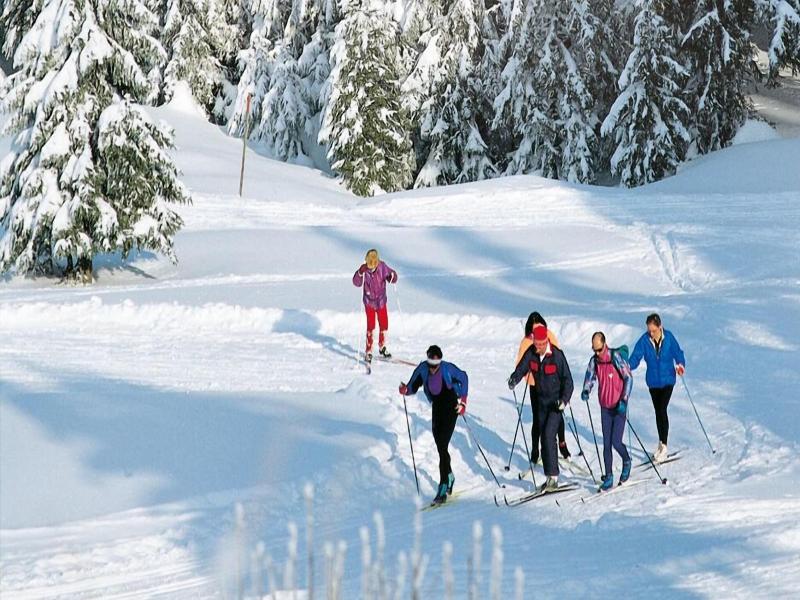 Relais du Silence Naturparkhotel Adler  image