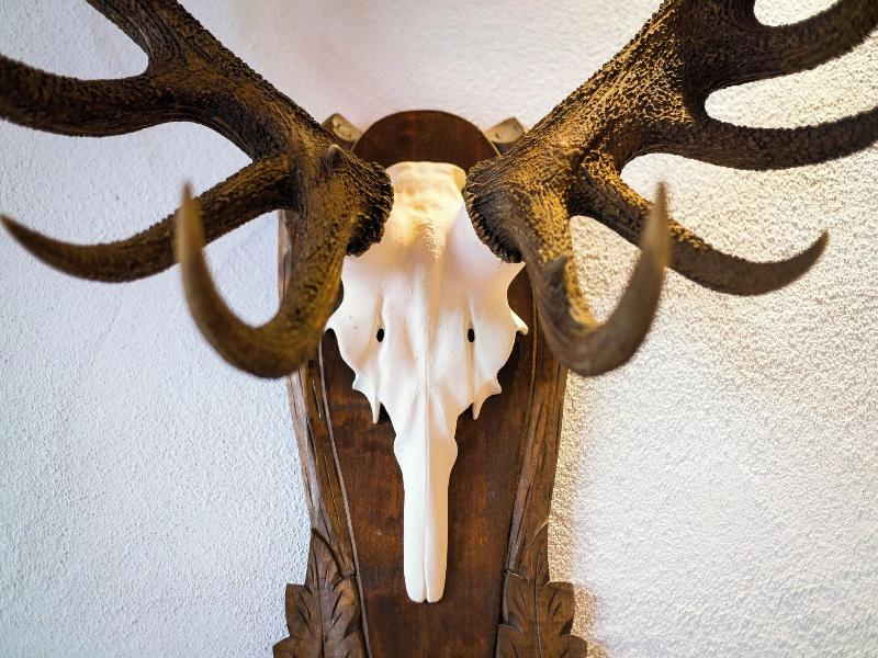 Relais du Silence Naturparkhotel Adler  image