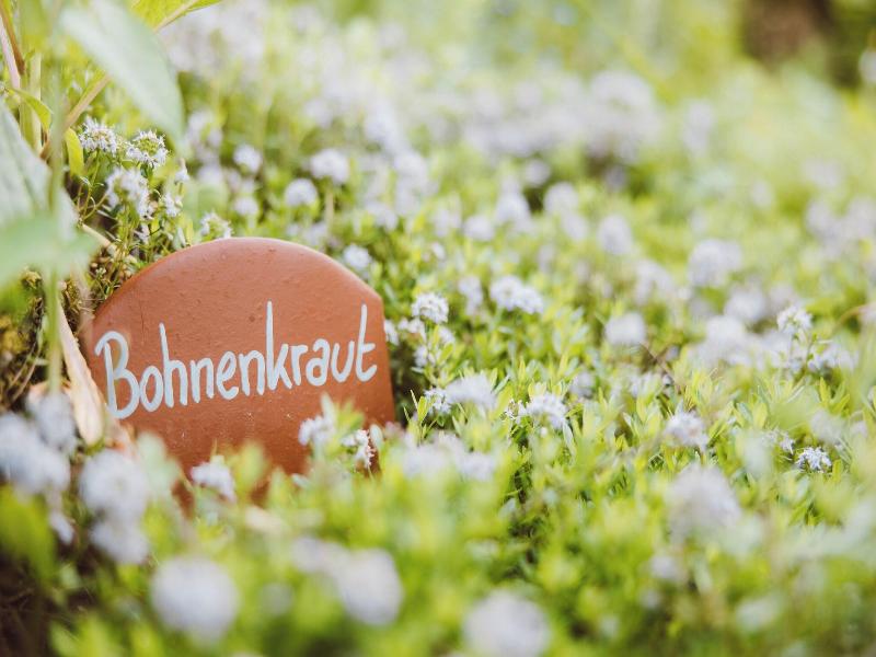 Relais du Silence Naturparkhotel Adler  image