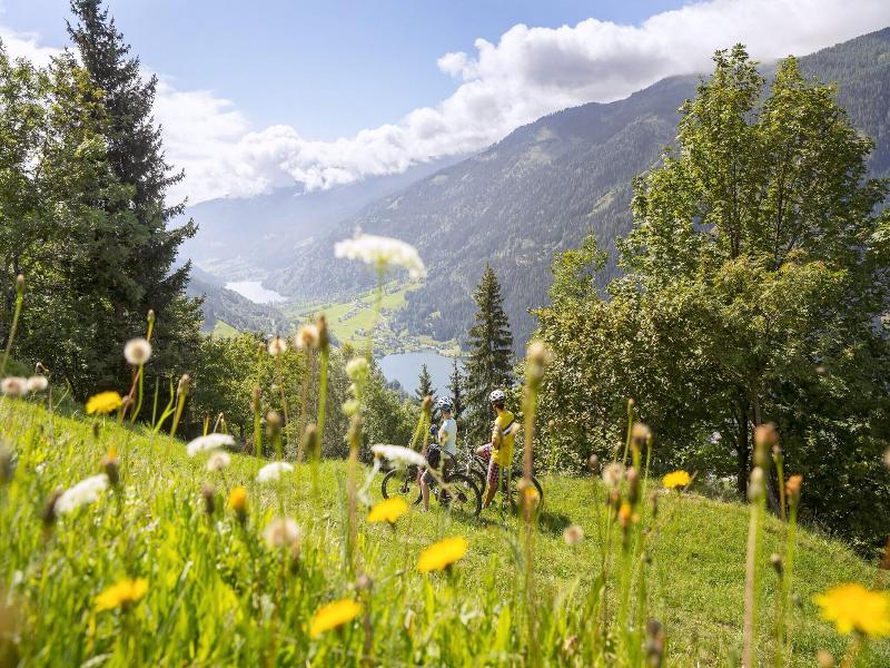 Ronacher Thermenhotel image
