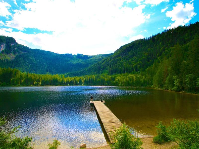 Schwaiger image