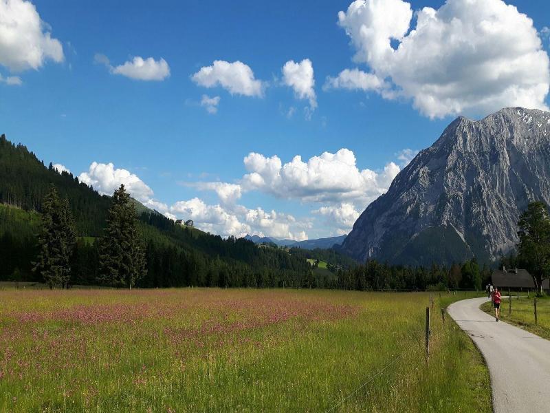 Schwaiger image