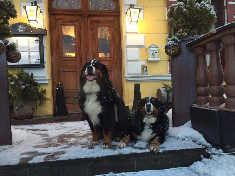 Gasthof Post image