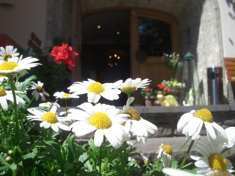 Weberbauer Gasthof image