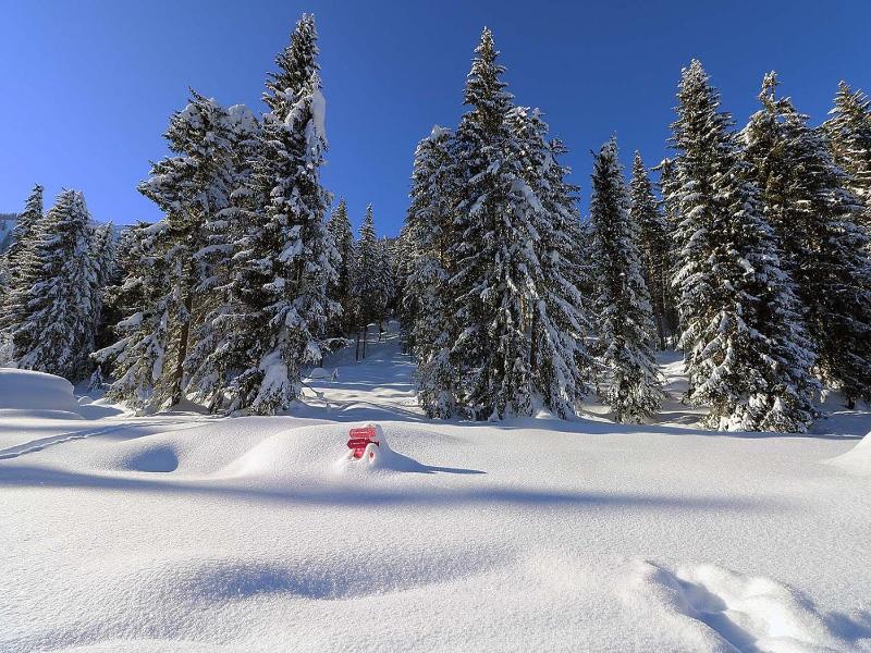Schöne Aussicht image