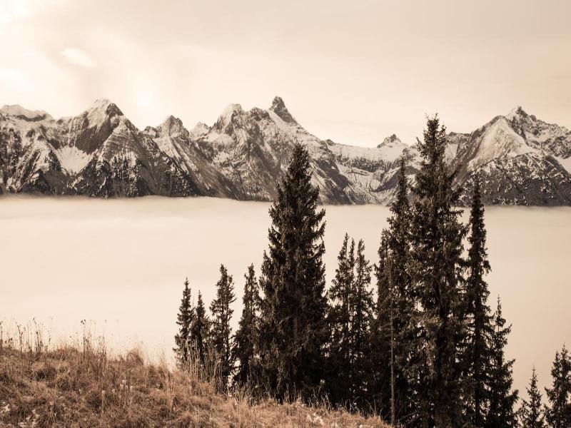 Alpenblick image