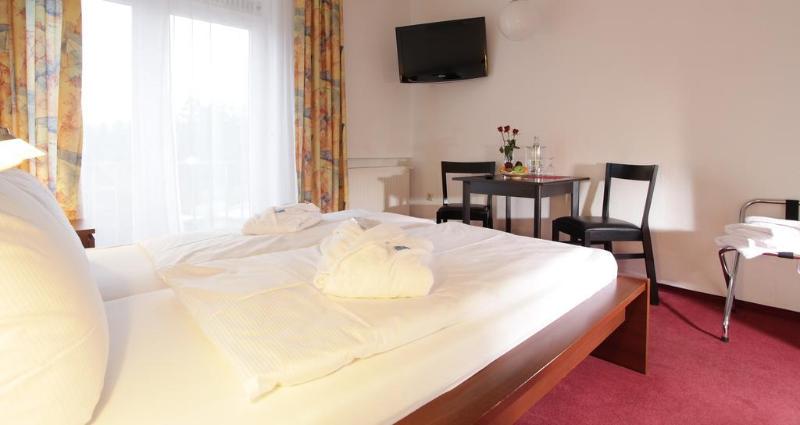 Sporthotel Schulenberg image