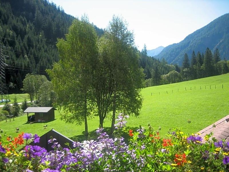 Alpenhotel Badmeister image