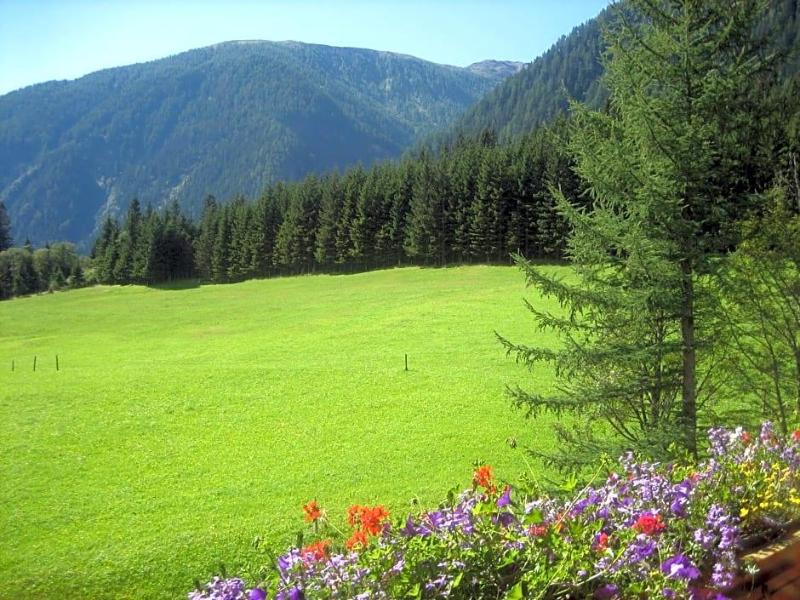 Alpenhotel Badmeister image