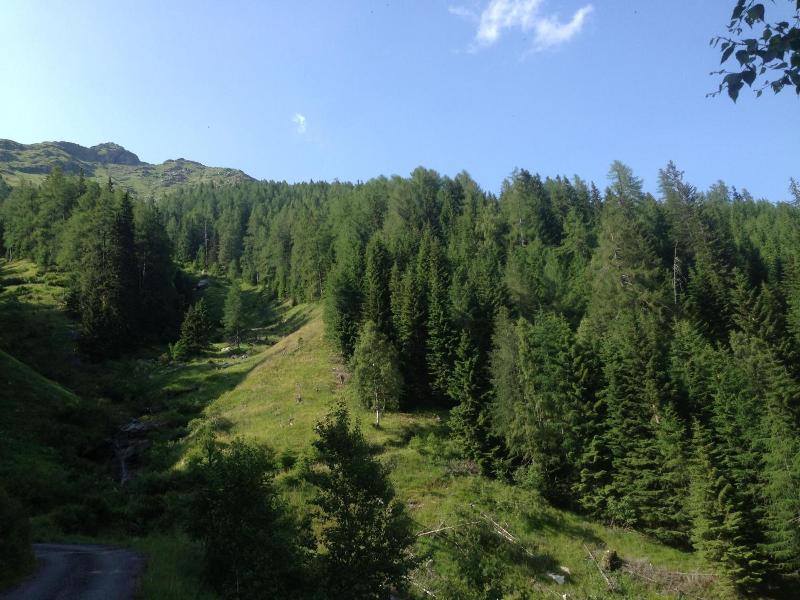 Alpenhotel Badmeister image