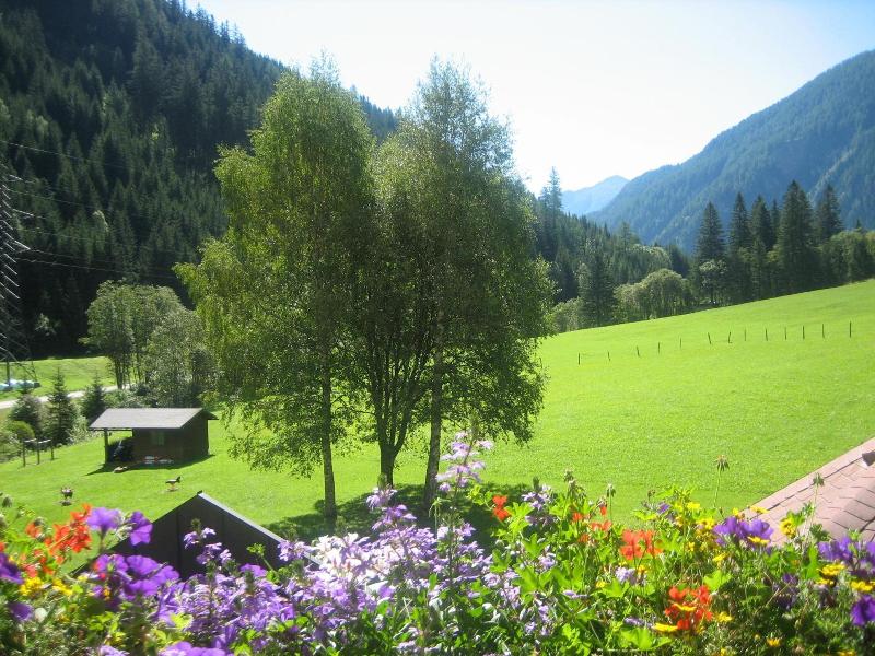 Alpenhotel Badmeister image