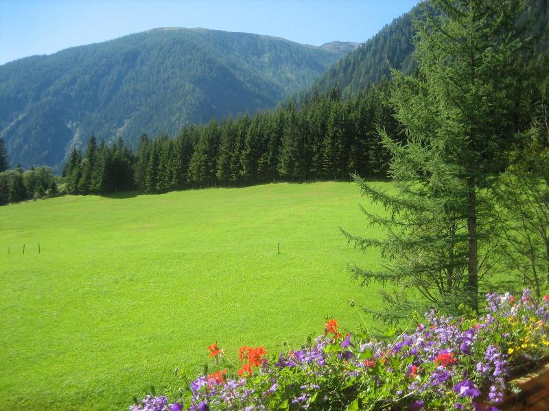 Alpenhotel Badmeister image
