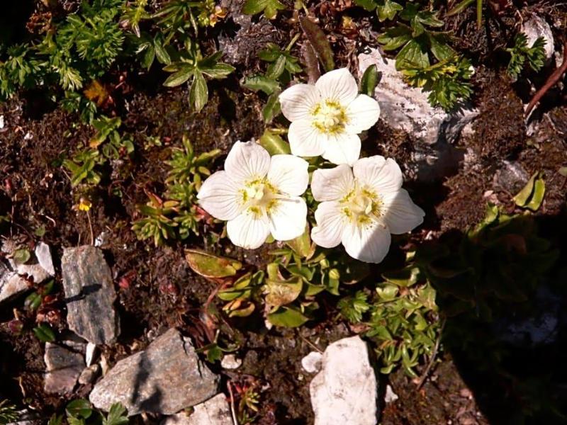 Zita image