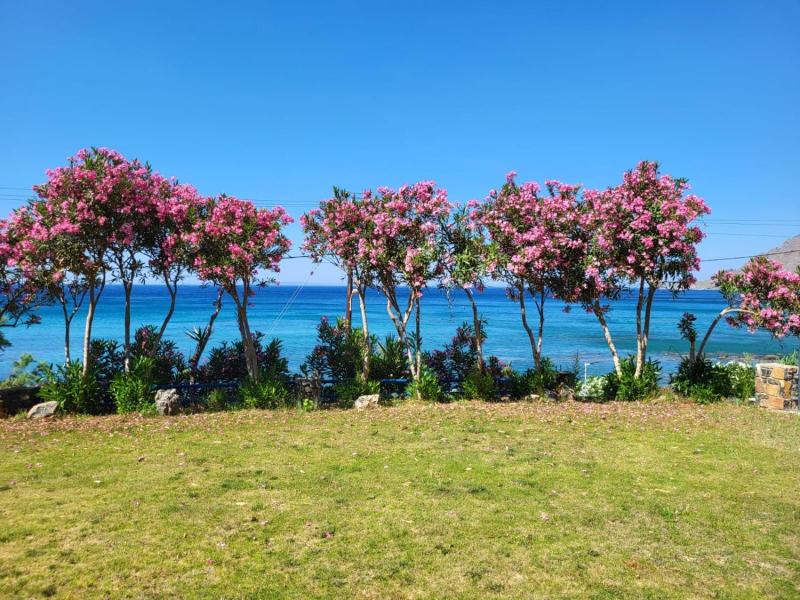 Thalassa House Apartments image