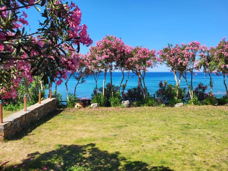 Thalassa House Apartments image