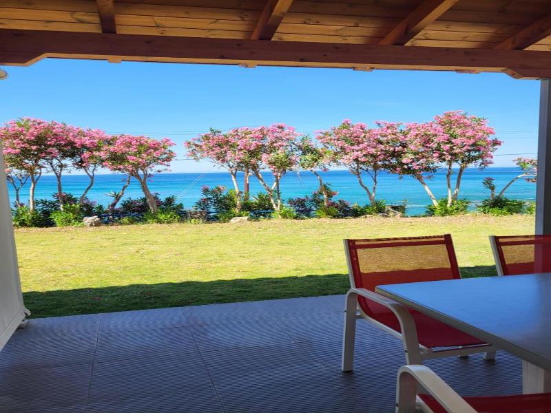 Thalassa House Apartments image