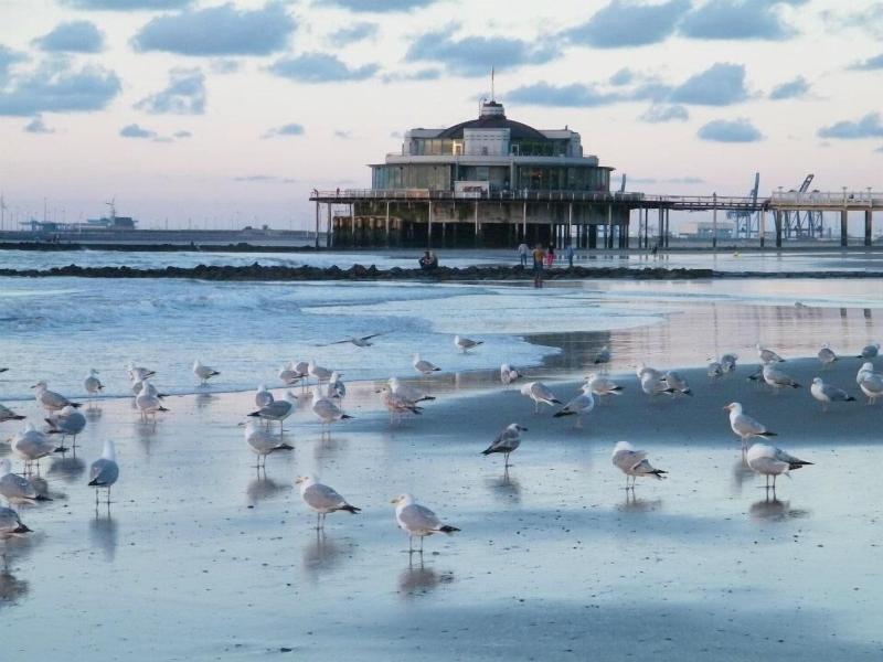 SeaSide Blankenberge image