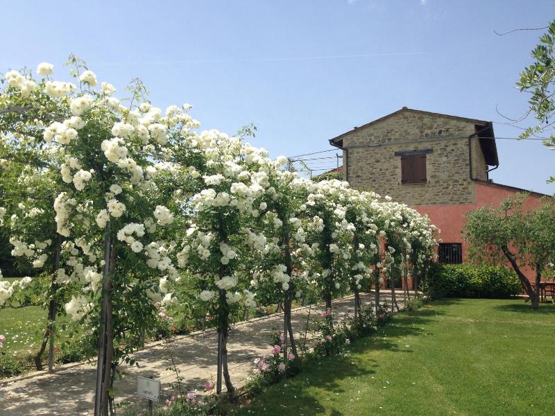 Casale Le Selvette image