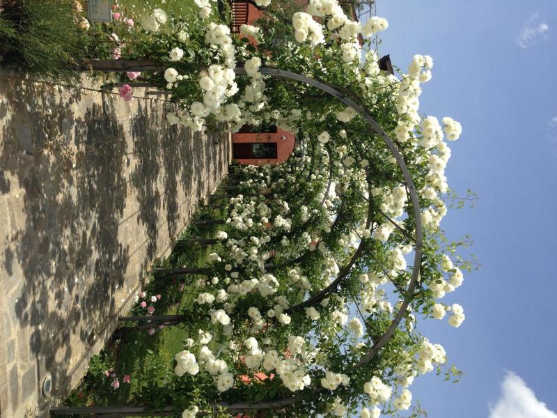Casale Le Selvette image