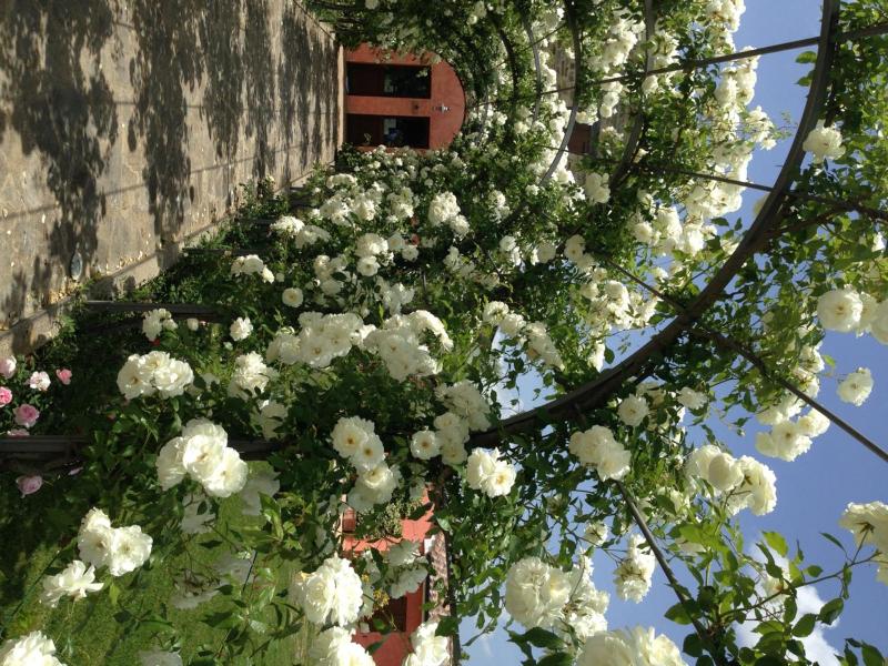 Casale Le Selvette image