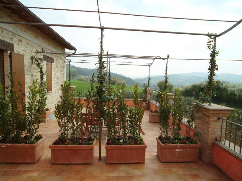 Casale Le Selvette image